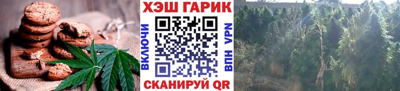купить наркотики цена  Елизово  блэк спрут tor  Еда ТГК конопля 