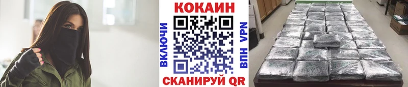 Кокаин Fish Scale  как найти наркотики  Елизово 