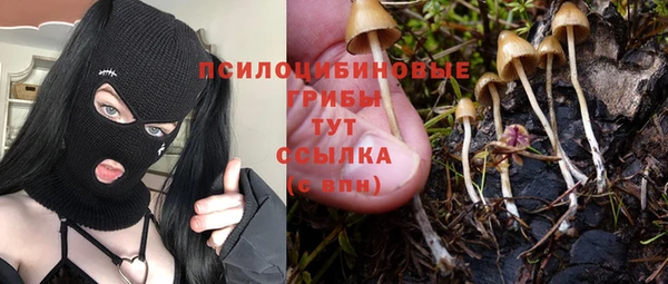 МДМА Алексеевка