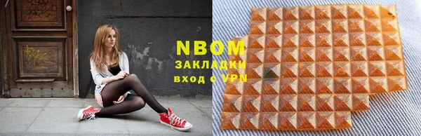 PSILOCYBIN Алзамай