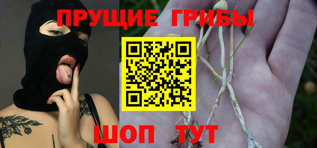 Псилоцибиновые грибы прущие грибы Елизово